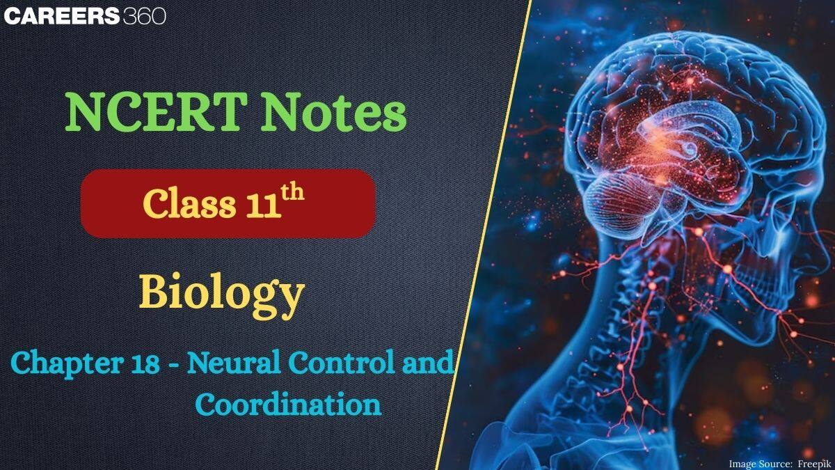 NCERT Class 11 Biology Chapter 21 Notes Neural Control And Coordination- Download PDF Notes